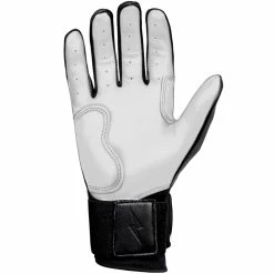 Bruce Bolt PREMIUM PRO Chrome Series Long Cuff Batting Gloves: Black -Fielding Gloves Sales LC CHRB PALM