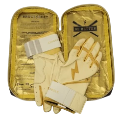 Bruce Bolt PREMIUM PRO Gold Series Batting Gloves: Long Cuff -Fielding Gloves Sales LC GLD BAG2